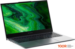 Ноутбук Digma PRO FORTIS M DN15P5-ADXW01 (201546)