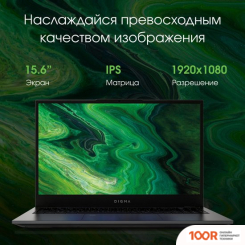 Ноутбук Digma PRO FORTIS M DN15P3-8CXW05 (201541)