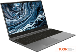Ноутбук Digma PRO BREVE S DN15P5-ADXW04 (201530)