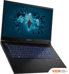 Ноутбук Colorful EVOL X17 PRO MAX A10205400064 (199442)