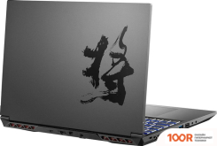 Ноутбук Colorful EVOL X17 AT 23 A10003400458 (199435)