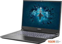 Ноутбук Colorful EVOL X17 AT 23 A10003400458 (199435)