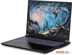 Ноутбук Colorful EVOL X16 PRO 23 A10205400059 (199431)