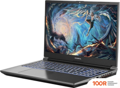 Ноутбук Colorful EVOL X15 AT 23H1 A10205400041 (199426)