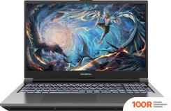 Ноутбук Colorful EVOL X15 AT 23H1 A10205400041 (199426)