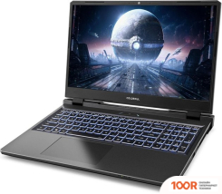 Ноутбук Colorful EVOL P15 24 A10205400056 (199413)