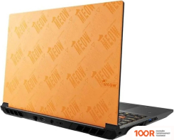 Ноутбук Colorful EVOL MEOW R15 A10305000029 (199399)