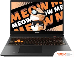Ноутбук Colorful EVOL MEOW R15 A10305000029 (199399)