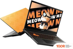 Ноутбук Colorful EVOL MEOW R15 A10305000029 (199399)