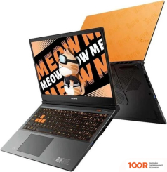 Ноутбук Colorful EVOL MEOW R15 A10305000029 (199399)