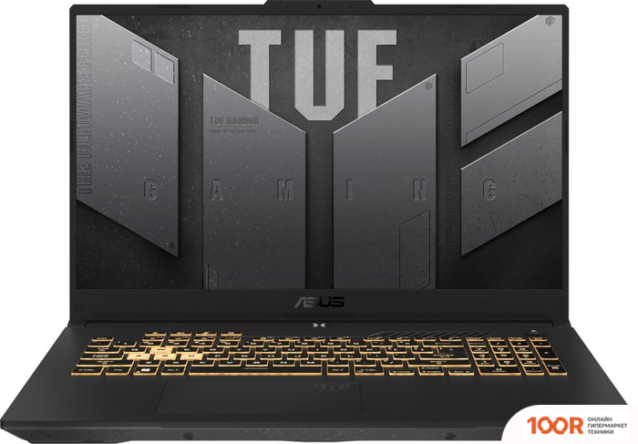 Ноутбук ASUS TUF GAMING F17 FX707VUR-HX225 (195956)