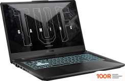 Ноутбук ASUS TUF GAMING F17 FX706HM-HX146X (195938)