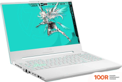 Ноутбук ASUS TUF GAMING F15 2023 FX507VV13620-0DAFXHB8X10 (195747)
