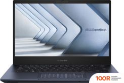 Ноутбук ASUS EXPERTBOOK B5 B5402CVA-KI0319X (194167)