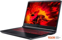 Ноутбук Acer NITRO 5 AN517-52 NH.QDVEP.009 (192074)