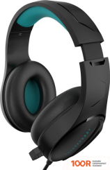 Наушники Thunderobot H21 (189471)