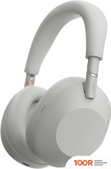Наушники Sony WH-1000XM6 (СЕРЫЙ) (189086)