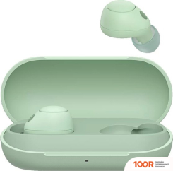 Наушники Sony WF-C700N (МЯТНЫЙ) (189064)