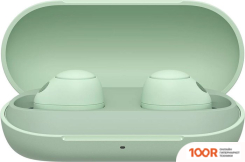 Наушники Sony WF-C700N (МЯТНЫЙ) (189064)