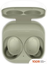 Наушники Samsung GALAXY BUDS 2 (ОЛИВКОВЫЙ) (188723)