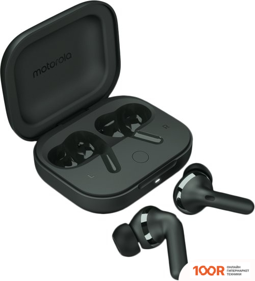 Наушники Motorola MOTO BUDS+ (ТЕМНО-ЗЕЛЕНЫЙ) (187507)