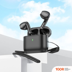 Наушники Hoco EW53 (ЧЕРНЫЙ) (185372)