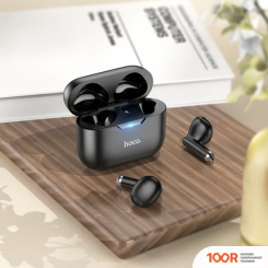 Наушники Hoco EW34 (ЧЕРНЫЙ) (185334)