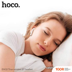 Наушники Hoco EW25 (185316)
