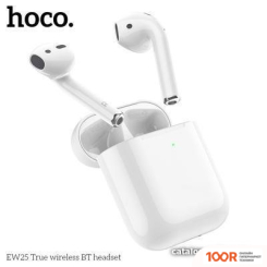Наушники Hoco EW25 (185316)