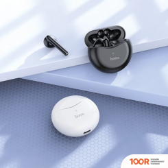 Наушники Hoco EW14 (ЧЕРНЫЙ) (185280)