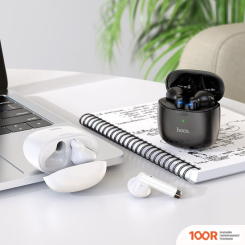 Наушники Hoco ES56 (ЧЕРНЫЙ) (185189)