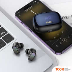 Наушники Hoco EQ20 (ЧЕРНЫЙ) (185102)