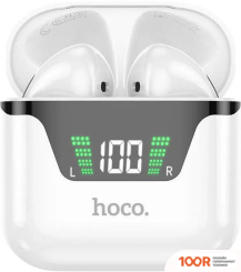 Наушники Hoco DES20 (185031)