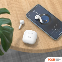 Наушники Hoco DES18 (185030)