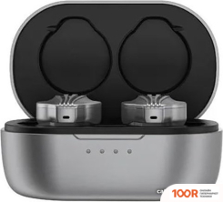 Наушники FiiO FW3 (СЕРЕБРИСТЫЙ) (184561)