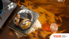 Наушники FiiO FT1 (КОРИЧНЕВЫЙ/СЕРЕБРИСТЫЙ) (184553)