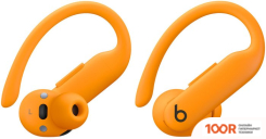 Наушники Beats POWERBEATS PRO 2 (ОРАНЖЕВЫЙ) (182893)