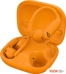 Наушники Beats POWERBEATS PRO 2 (ОРАНЖЕВЫЙ) (182893)
