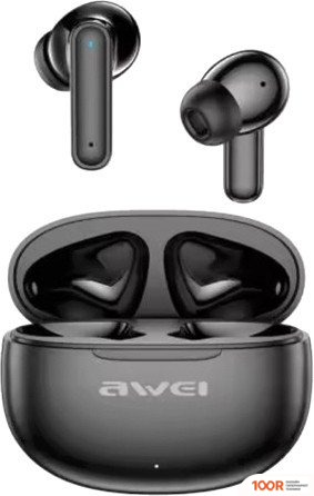 Наушники Awei T71 (ЧЕРНЫЙ) (182612)