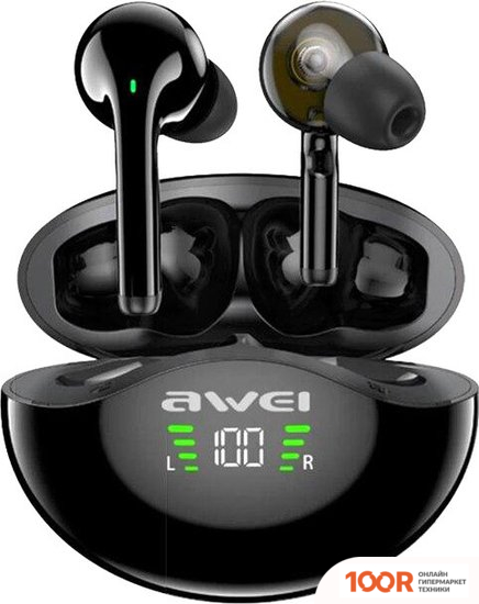 Наушники Awei T12P (182564)