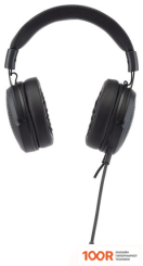 Наушники Acer AHW120 (182120)