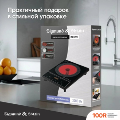 Настольная плита Zigmund & Shtain ZIP-571 (181829)