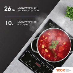 Настольная плита Zigmund & Shtain ZIP-571 (181829)