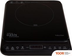 Настольная плита Making Oasis Everywhere PI-BG3S (181626)