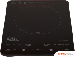 Настольная плита Making Oasis Everywhere PI-B24SL (181622)