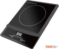Настольная плита Goodhelper ES-20W01 (181486)
