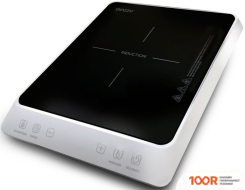 Настольная плита Ginzzu HCI-173 (181481)