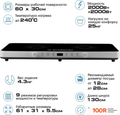 Настольная плита Endever SKYLINE IP-61 (181420)