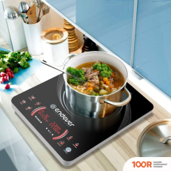 Настольная плита Endever SKYLINE IP-59 (181418)