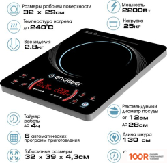 Настольная плита Endever SKYLINE IP-59 (181418)